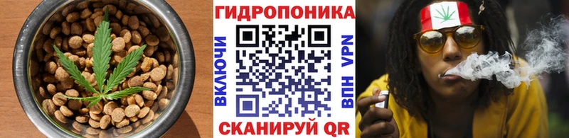 Cannafood марихуана  Кукмор 
